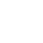 Vannevar Labs Logo